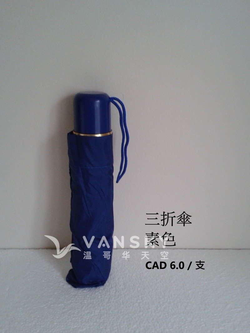 250210075035_3 fold.jpg